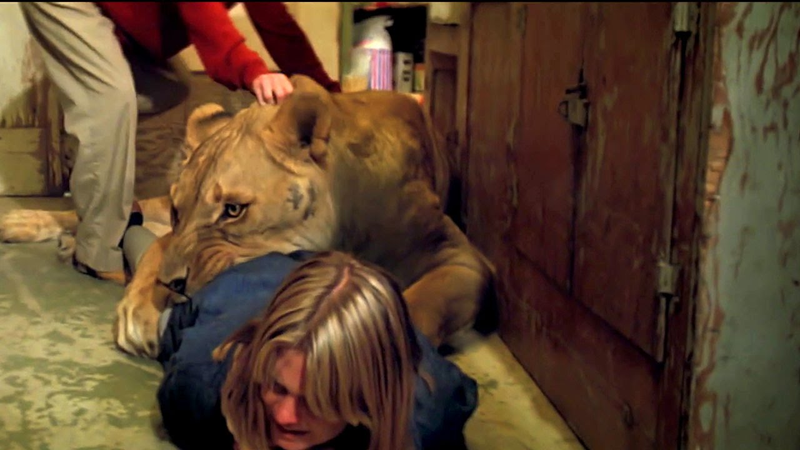 Illustration for article titled Cómo se rodó Roar, la película más peligrosa de la historia que estuvo a punto de acabar con la vida de todo el reparto
